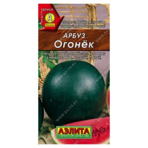 Сем – Арбуз – » Огонек » – ц\п АЭ – 1гр