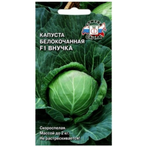 Сем – Капуста – Б\к – » Дочка » – ц\п СеДек – Ранняя