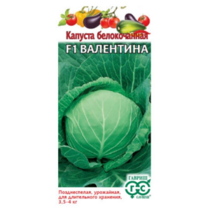 Сем – Капуста – Б\к – » Валентина – F1 » – ц\п Гавриш – 0,1г – Поздняя