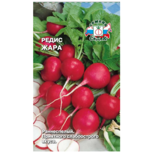 Сем – Редис – » Жара » – ц\п СеДек – 18-27 дн – РаннеСпелый  3г