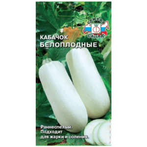 Сем – Кабачок – » Белоплодные 13 » – ц\п Седек – 2г