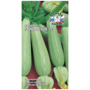 Сем – Кабачок – » Грибовские – 37 » – среднеранний – белый – ц\п Седек – 2г