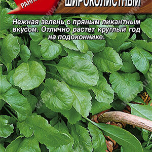 Сем – Кресс – Салат – ” Широколистный ” – цп АЭ – 1г