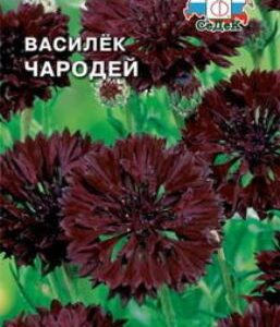 Сем – Цв. Василек – Чародей – (темно-бордовый) – цп СеДек – 0,5г