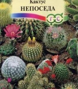 Сем – Цв. Кактус – ” Непоседа ” – Смесь – цп Гавриш – 0,05г