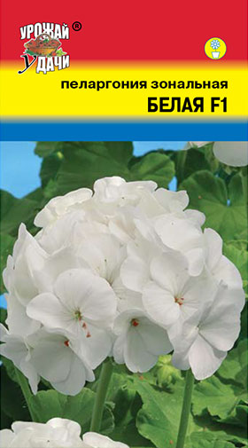 Сем – Цв. Пеларгония – ” Белая – F1 ” – Зональная – цп УУ