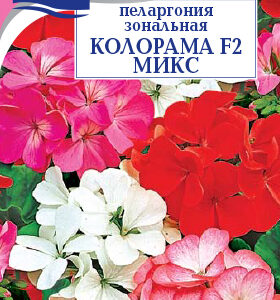 Сем – Цв. Пеларгония – ” Колорама ” – Смесь – цп УУ