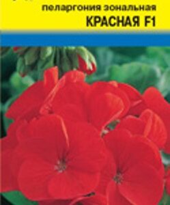 Сем – Цв. Пеларгония – ” Красная – F1 ” – Зональная – цп УУ